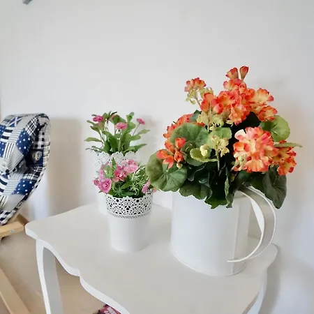 The Wavecatcher - Deluxe Flat - Baleal / Peniche Apartment Ferrel (Leiria)